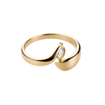 Anniversary Ring